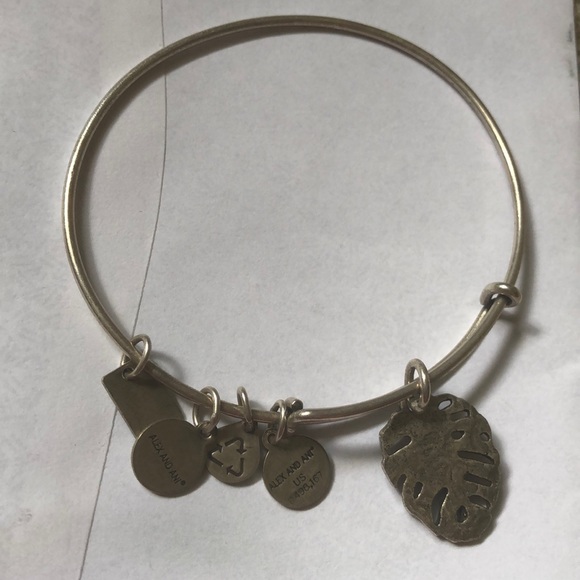 Tree frog - Picture 4 of 4